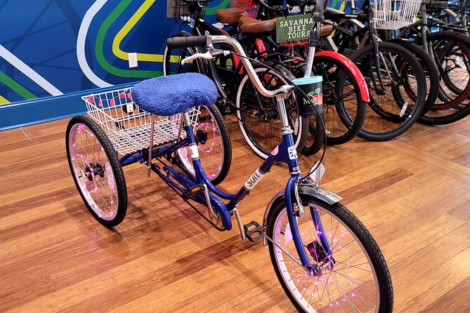 2-Hour Explore Savannah Bike Tour - Johnson Square and Savannah’s city plan