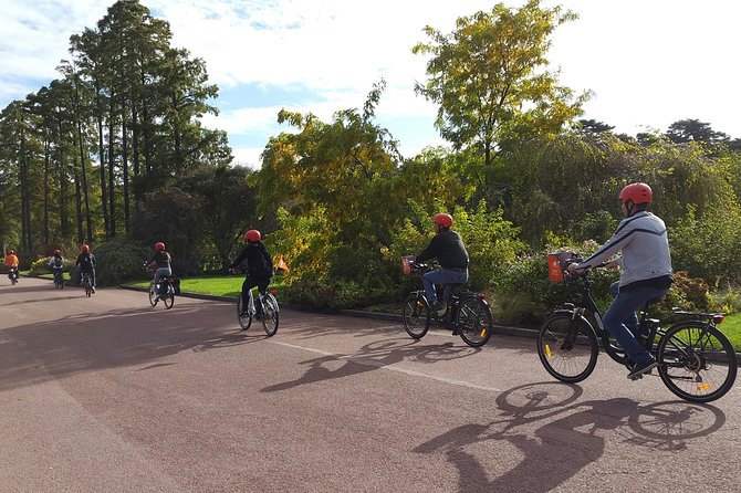 2h - Electric Bike Tour of Lyon with a Local Guide - Old Lyon, the cathedral, and Fourvière views
