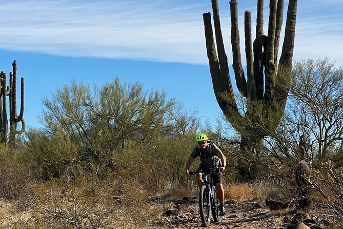3 Hour Sonoran Desert Private Guided Mountain Bike Tour - Getting Fitted and Learning the Basics