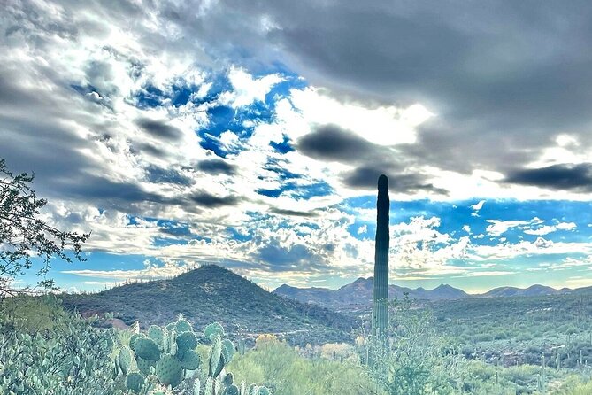 3 Hour Sonoran Desert Private Guided Mountain Bike Tour - Stops for Plants, Rocks, and Photos