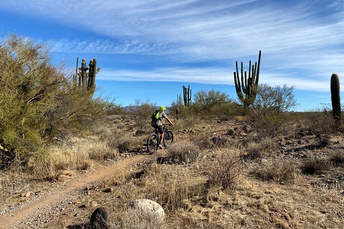 3 Hour Sonoran Desert Private Guided Mountain Bike Tour - What You Receive for $135 Per Person