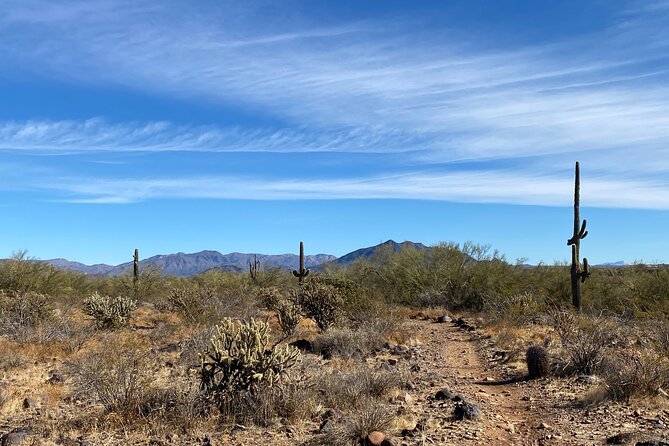 3 Hour Sonoran Desert Private Guided Mountain Bike Tour - Practical Tips for a Better Ride