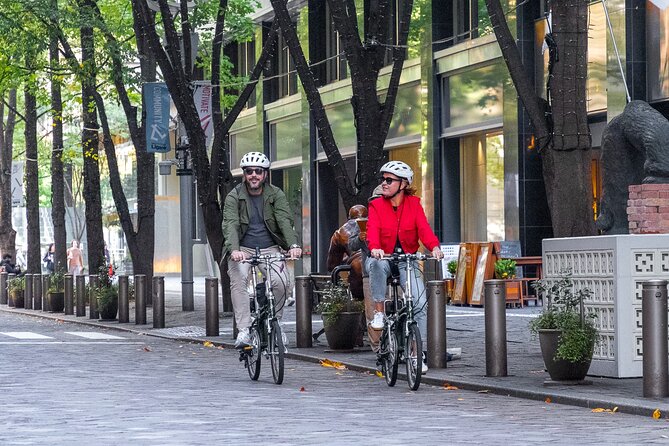 3-Hour Tokyo Private E-Bike Tour Starting from Your Hotel - Key points to know before you ride