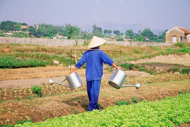 3 Hours Hoi An Countryside Bicycle Tour - Tra Que Herb Vegetable Village