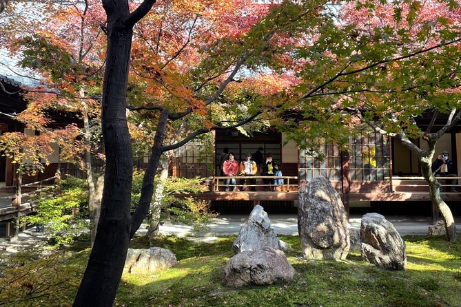 4.5-Hour Kyoto Bike Tour with Lunch and UNESCO Zen Temples - Who will get the most from this Kyoto bike tour