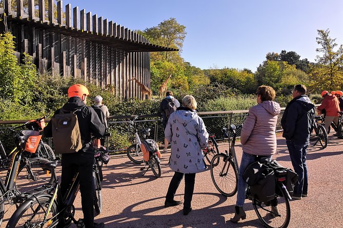4h Complete Lyon Experience: E-Bike, Food Tasting & Old Town Walk - How demanding is the cycling?