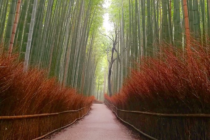 5 Top Highlights of Kyoto Full Day Bike Tour (E-bike option) - Kinkakuji and the Golden Pavilion