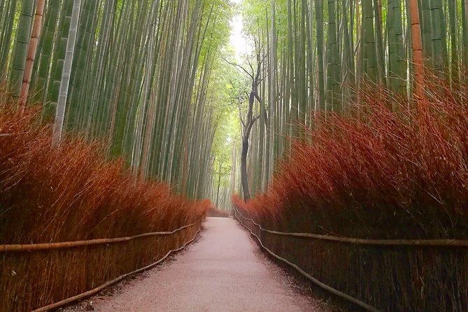 Afternoon Kyoto Bike Tour: Bamboo Forest, Monkeys & Hidden Spots - Bamboo Forest Street without making it the whole day