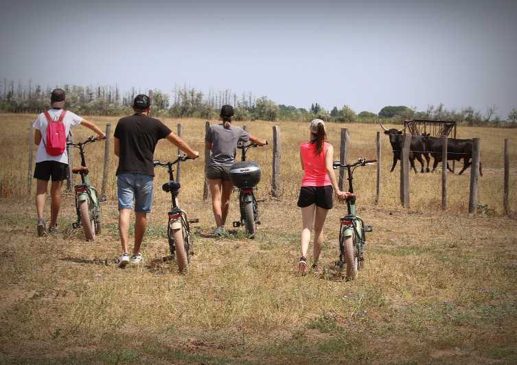 Aigues Mortes: safari en vélo - Ebike tour in Camargue - Marshes, canals and vineyards along the route