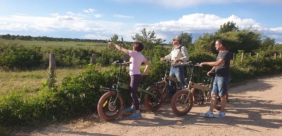 Aigues Mortes: safari en vélo - Ebike tour in Camargue - Who should book this Camargue safari