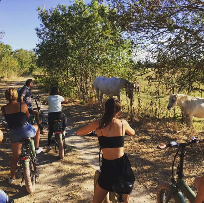Aigues Mortes: safari en vélo - Ebike tour in Camargue - What the electric mountain bikes add