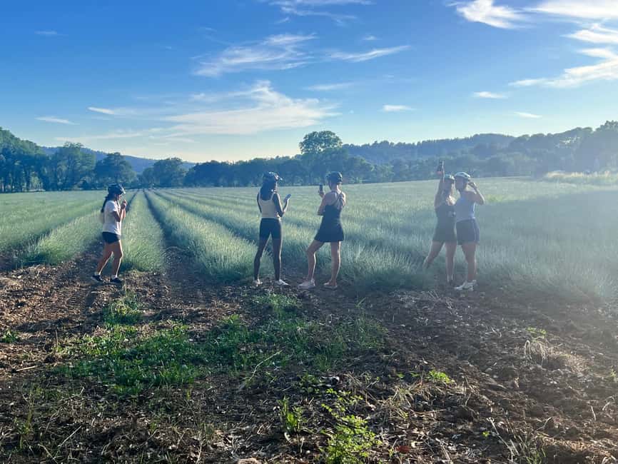 Aix-en-Provence: E-Bike Tour of Mount Sainte-Victoire - Key points at a glance