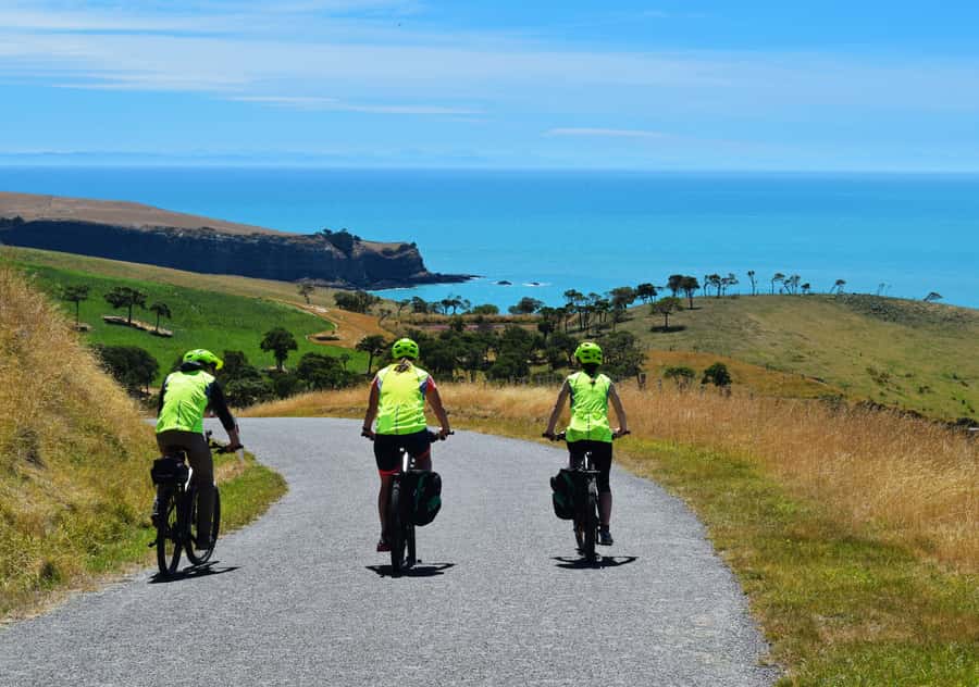 Akaroa: Guided Electric Mountain Bike Tour-Lava Loop - Key points at a glance