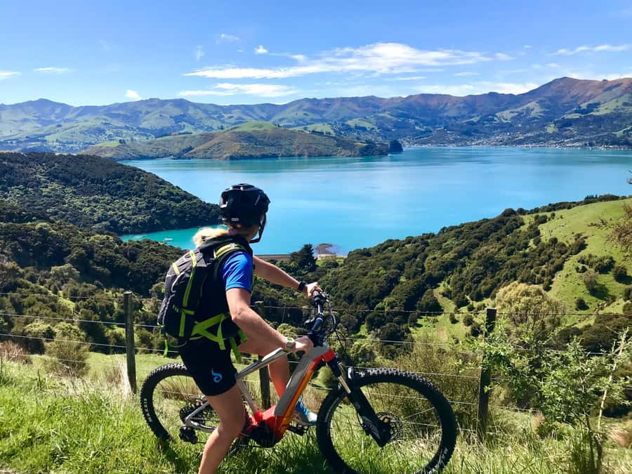Akaroa: Guided Electric Mountain Bike Tour-Lava Loop - Should you book the Lava Loop?