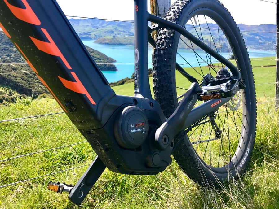 Akaroa: Guided Electric Mountain Bike Tour-Lava Loop - Who should book this ride?