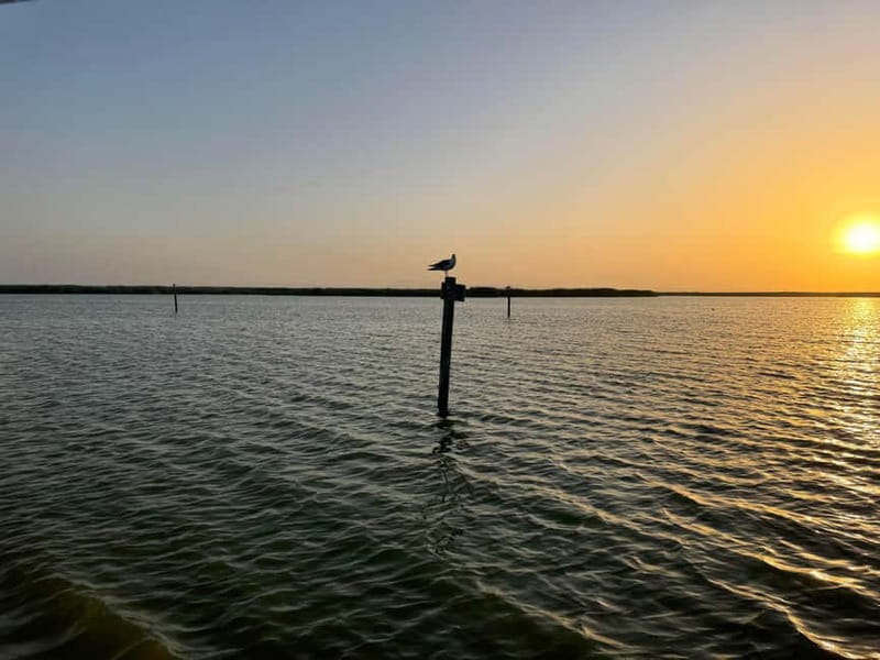 Albufera Bike Adventure: Wetlands, Beaches & Biodiversity - Key points to know before you ride