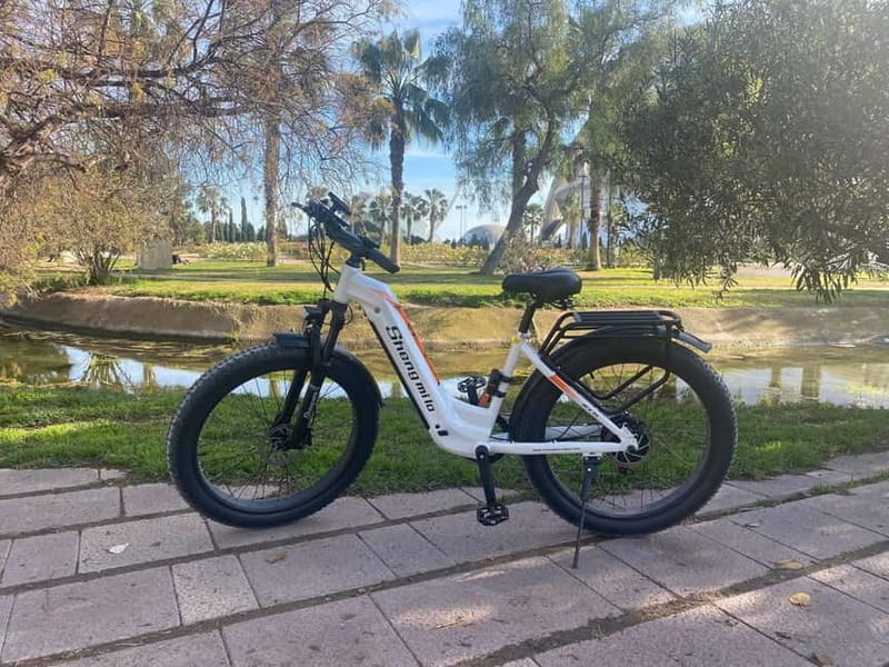 Albufera Bike Adventure: Wetlands, Beaches & Biodiversity - El Saler’s dunes and the Estanco del Pujol