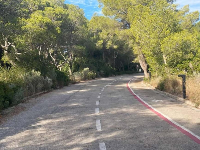 Albufera Bike Adventure: Wetlands, Beaches & Biodiversity - Pinedo and the coastal route