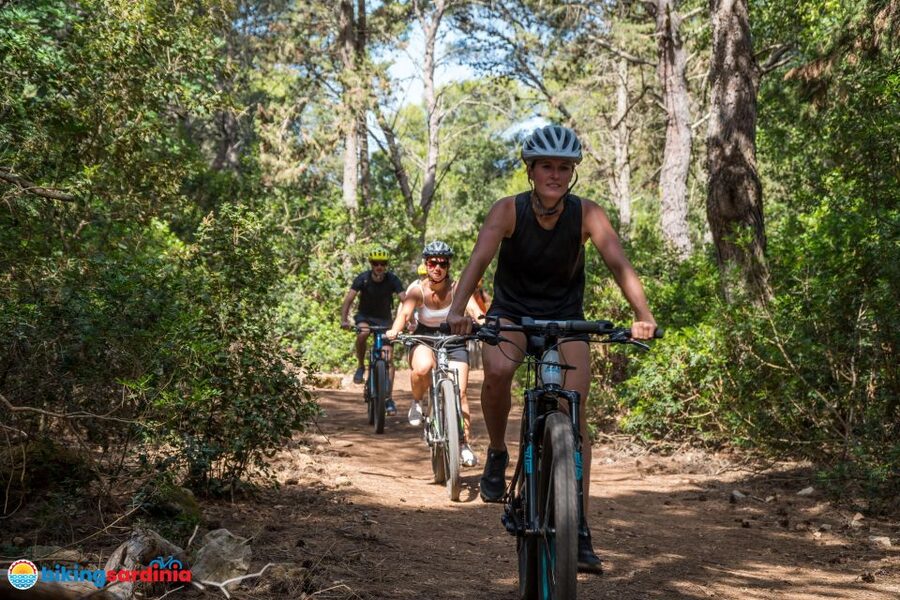 Alghero: E-bike tour inside the Natural Park of Porto Conte - How the tour is priced in value terms