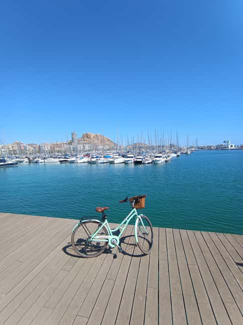 Alicante City Bike Tour. Only Small groups - El Palmeral Park and the route’s wider reach