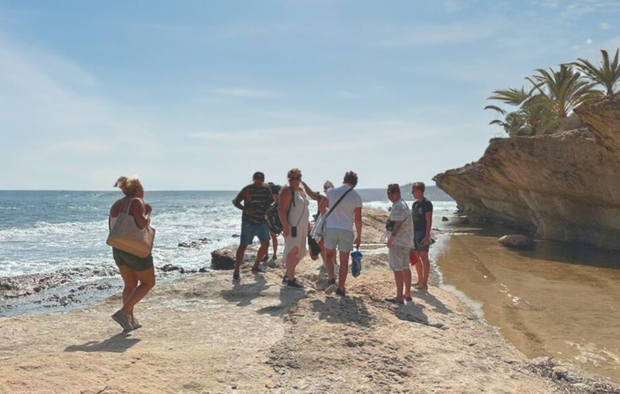Alicante : E-Bike Coast Tour, Roman Fish Farm and Snorkeling - Who should book this outing?