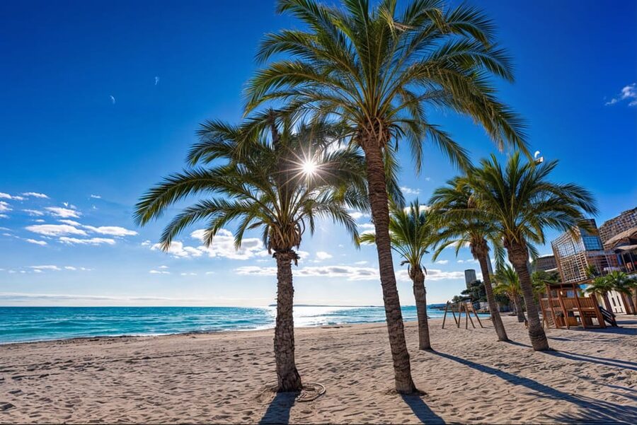 Alicante: Spot the Mediterranean by E-bike - Beaches, coves, and places worth returning to