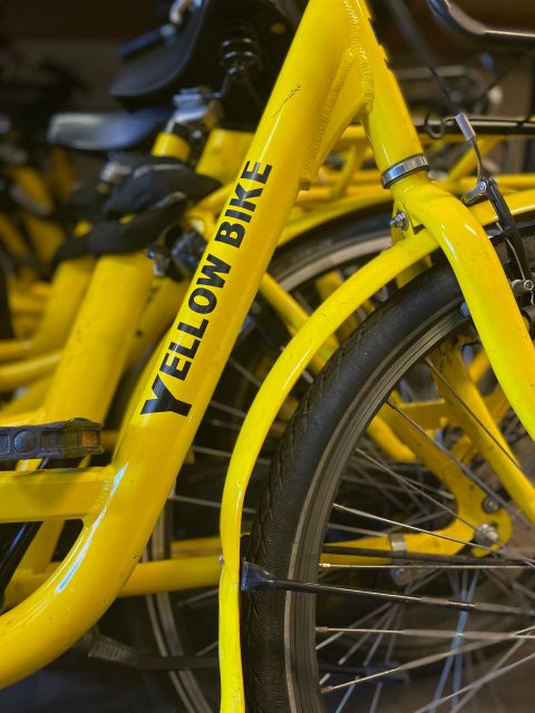 Amsterdam Bike Rental: Central Station & City Center - Is $10 good value for a day?