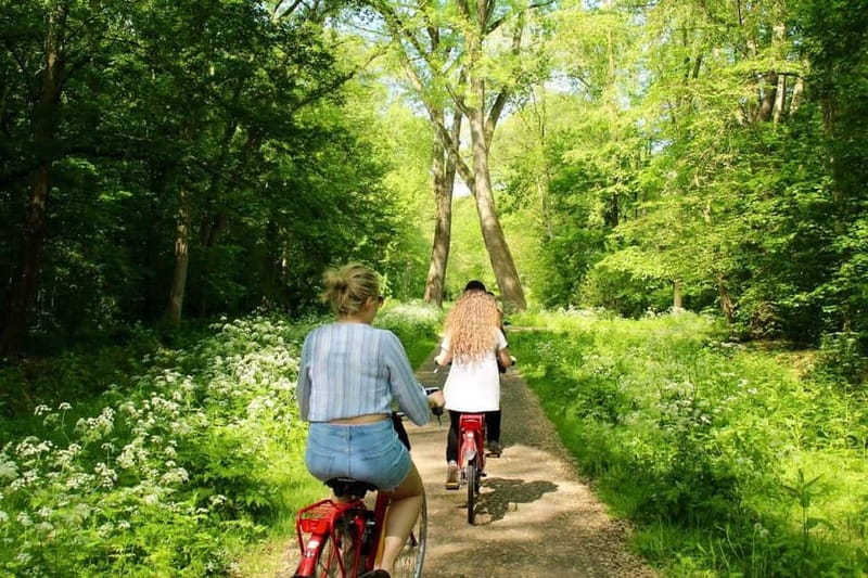 Amsterdam:: Bike Rental with Free Self-Guided Tour - Taking the ferry into the Dutch countryside