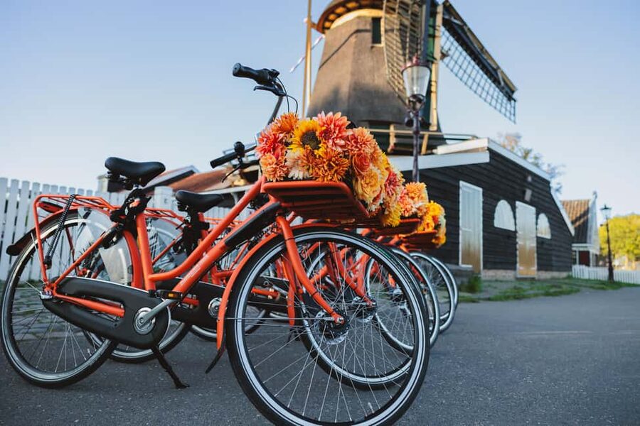 Amsterdam: Cheese Tasting, Windmill & Countryside Bike Tour - The farm stop, cheese, and young animals