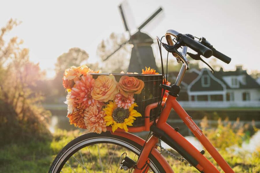 Amsterdam: Cheese Tasting, Windmill & Countryside Bike Tour - Nieuwendammerdijk and the return to Amsterdam