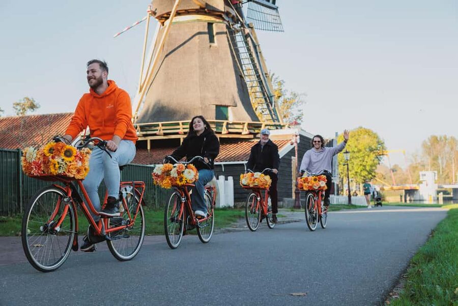 Amsterdam: Cheese Tasting, Windmill & Countryside Bike Tour - How much value do you get for $46?