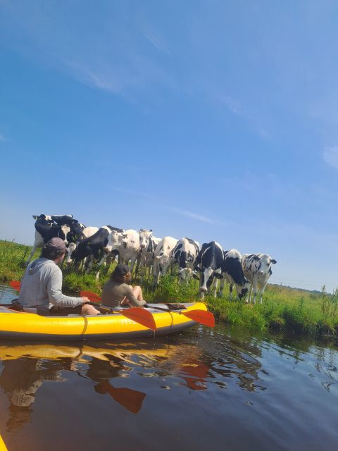 Amsterdam: Countryside Bike and Kayak Guided Tour - Should you book this Amsterdam countryside tour?