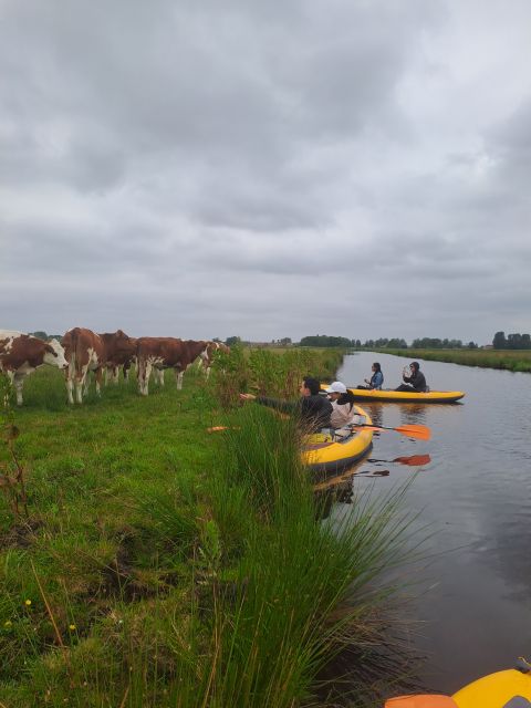 Amsterdam: Countryside Bike and Kayak Guided Tour - d’Admiraal Windmill and a slice of Dutch history