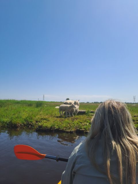 Amsterdam: Countryside Bike and Kayak Guided Tour - A proper break in the countryside