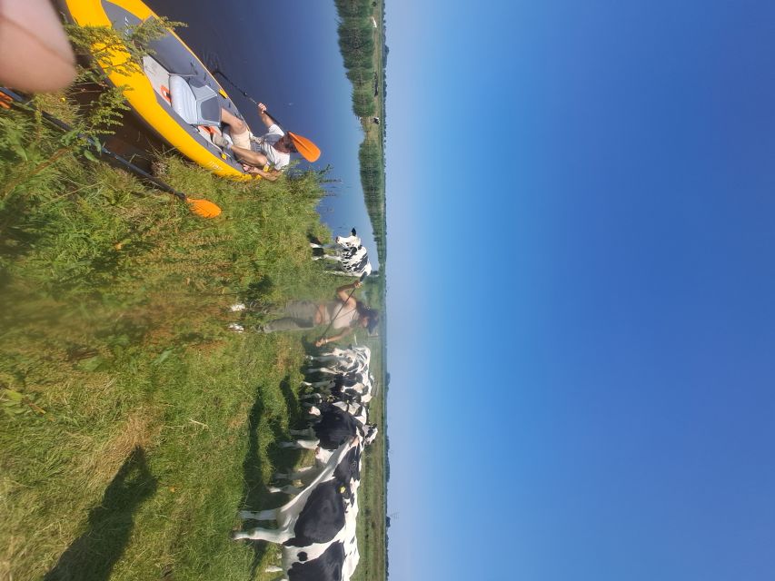 Amsterdam: Countryside Bike and Kayak Guided Tour - Cycling back through Amsterdam-Noord
