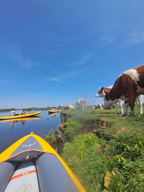 Amsterdam: Countryside Bike and Kayak Guided Tour - Who will enjoy this tour most
