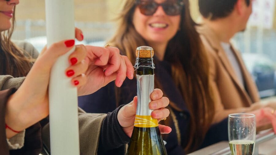 Amsterdam: Dutch Prosecco Party Bike - This is a party on wheels, not a city tour