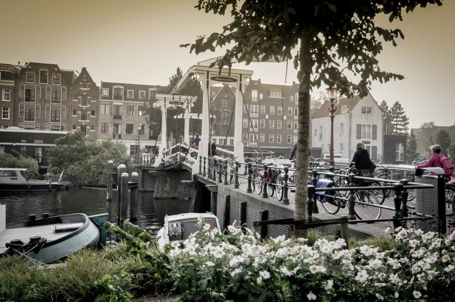 Amsterdam: Guided City Bike Tour in French - Starting at IJdok and the Western Islands