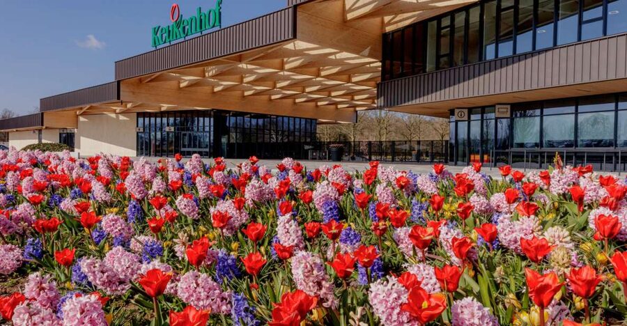 Amsterdam: Half-Day Flower Fields and Keukenhof Bicycle Tour - Why the flower fields are worth seeing by bicycle