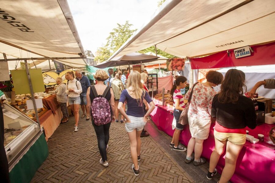 Amsterdam: Hidden Gems & Highlights Guided Bike Tour - Who will get the most from this tour?