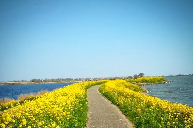 Amsterdam's Countryside Half-Day Bike Tour in Small Group - Why Waterland is worth leaving Amsterdam for