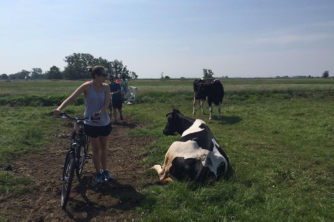 Amsterdam's Countryside Half-Day Bike Tour in Small Group - A flat ride through Dutch polder country