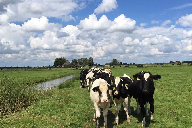 Amsterdam's Countryside Half-Day Bike Tour in Small Group - Starting at Spuistraat and crossing out of the city