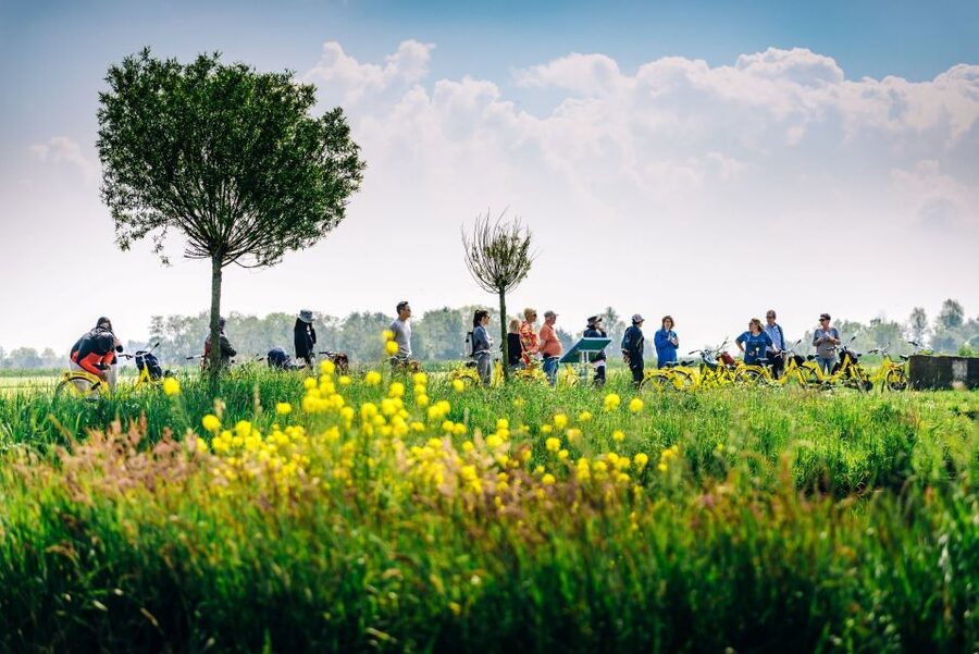Amsterdam: Waterland District Countryside Villages Bike Tour - How much value do you get for $57?