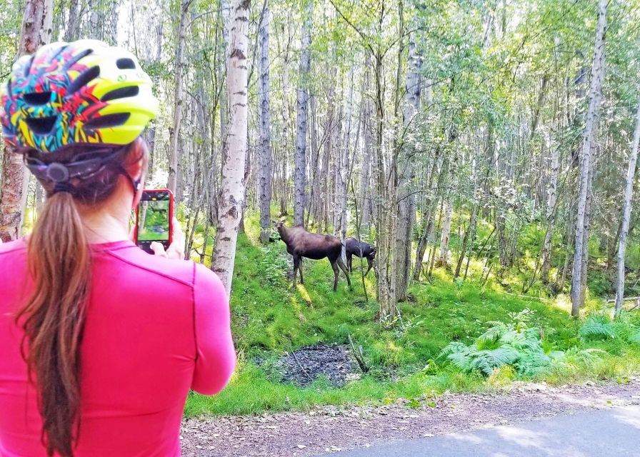 Anchorage: Coastal Trail 3-Hour City Bike Tour - Westchester Lagoon and the return downtown