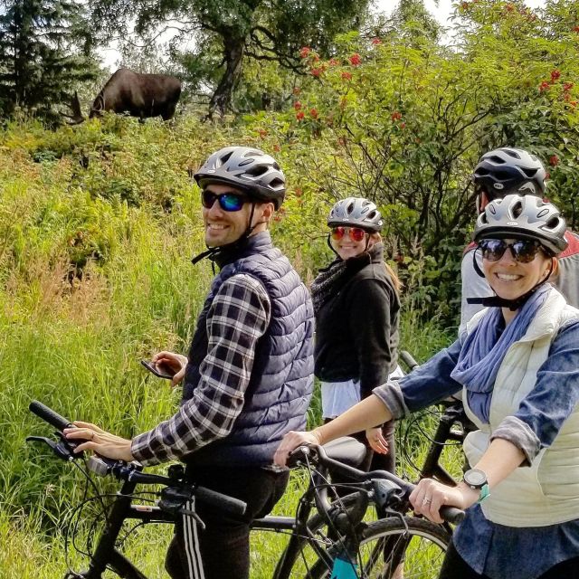 Anchorage: Coastal Trail 3-Hour City Bike Tour - What the $139 price includes