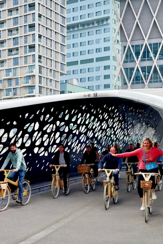 Antwerp: The Big 5 City Highlights by Wooden Bike - Why a wooden bike works well in Antwerp