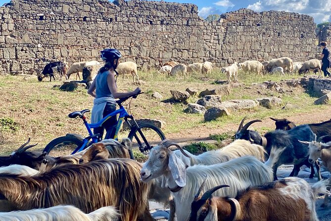 Appian Way & Aqueducts small group e-bike tour(catacombs & food) - Lunch at Fonte Acqua Egeria