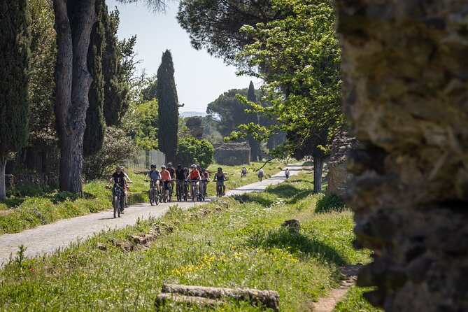 Appian Way & Aqueducts small group e-bike tour(catacombs & food) - Aqueducts at Parco degli Acquedotti