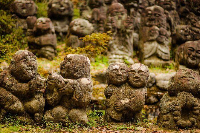 Arashiyama Bamboo Forest E-Biking Tour - Key points to know before you book